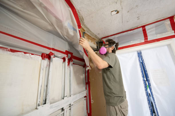 Estacada, OR Mold Removal Company